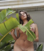 Nina James, brunette, naked, ass, shaved, garden, strip