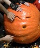 boobs, party, pumpkin, Halloween
