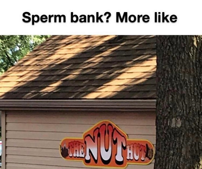boobs, ass, sperm, paint, pool