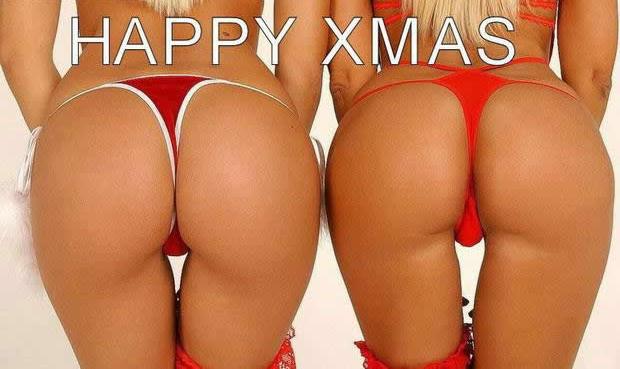 boobs, rabbits, anal sex, camel toe, Christmas