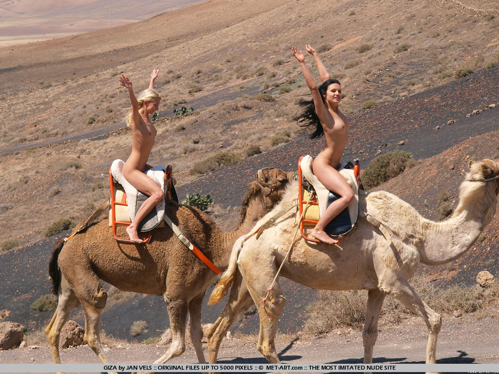 Judita A and Jana C, blonde, brunette, nude, tattoo, outdoors, camel